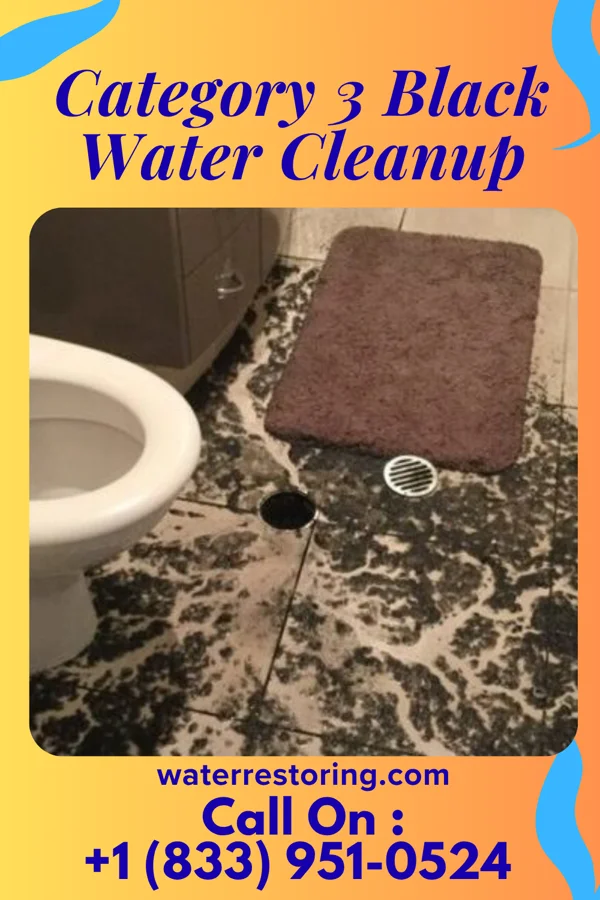 Category 3 Black Water Cleanup in Prices Fork, VA