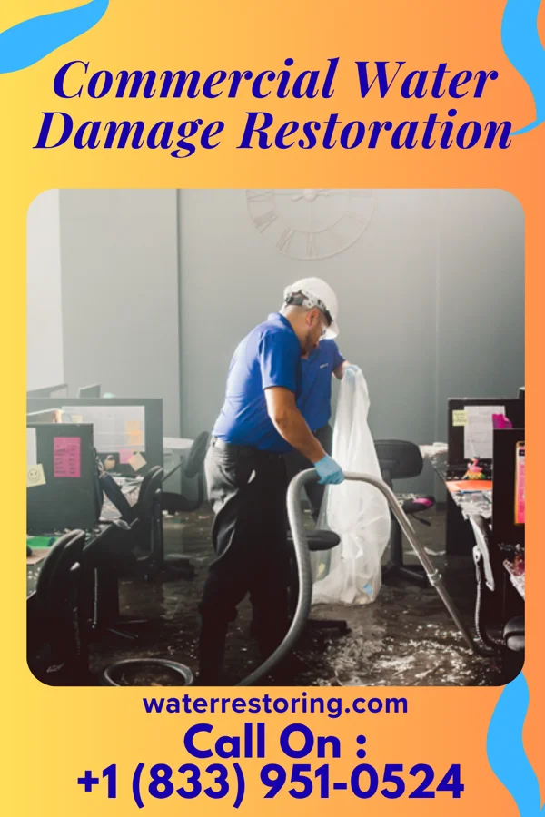 Commercial Water Damage Restoration in Prices Fork, VA