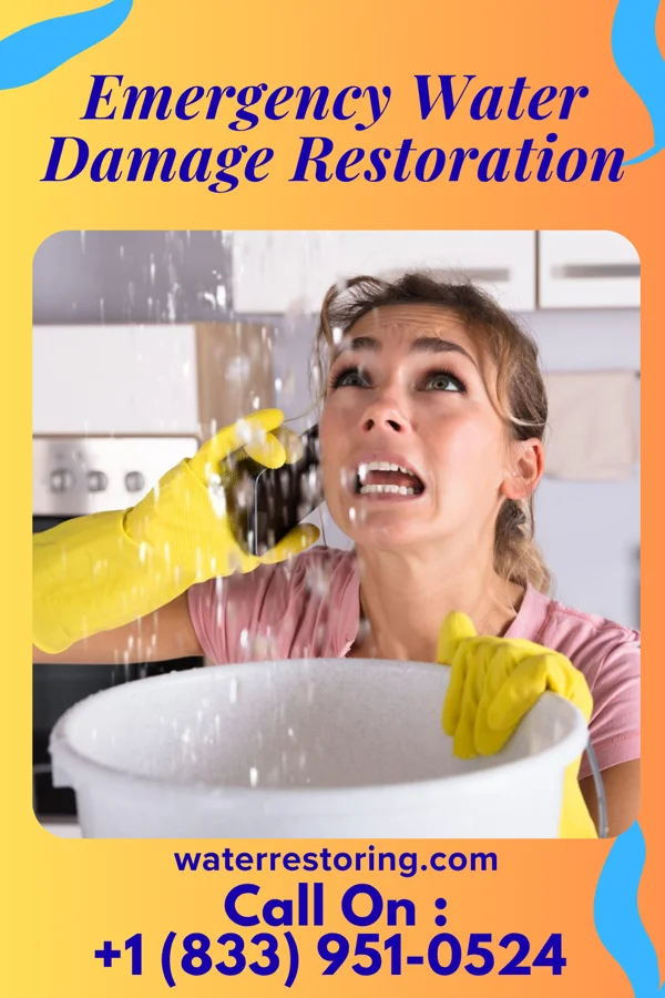 Emergency Water Damage Restoration in Prices Fork, VA