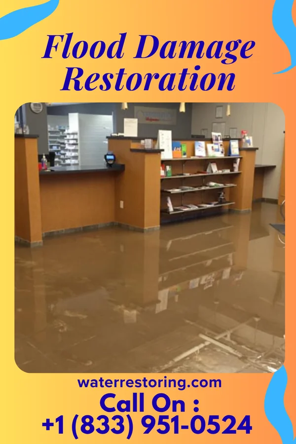 Flood Damage Restoration in Prices Fork, VA