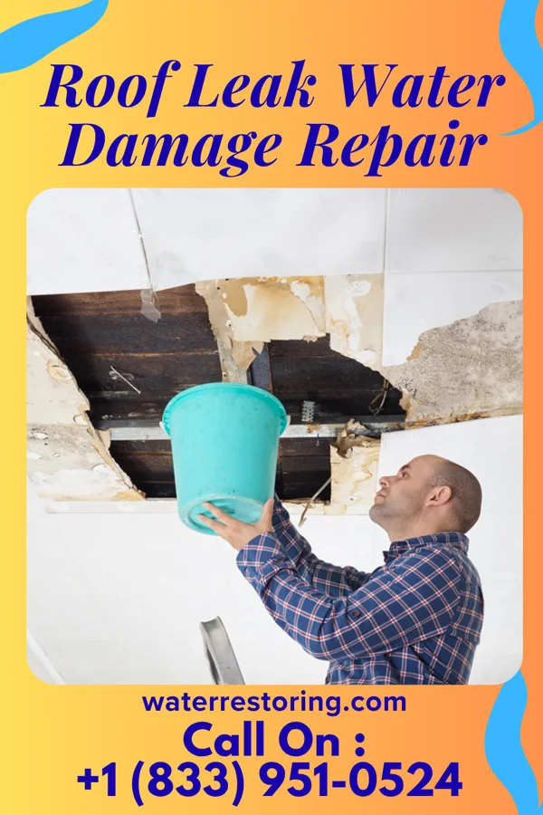 Roof Leak Water Damage Repair in Prices Fork, VA