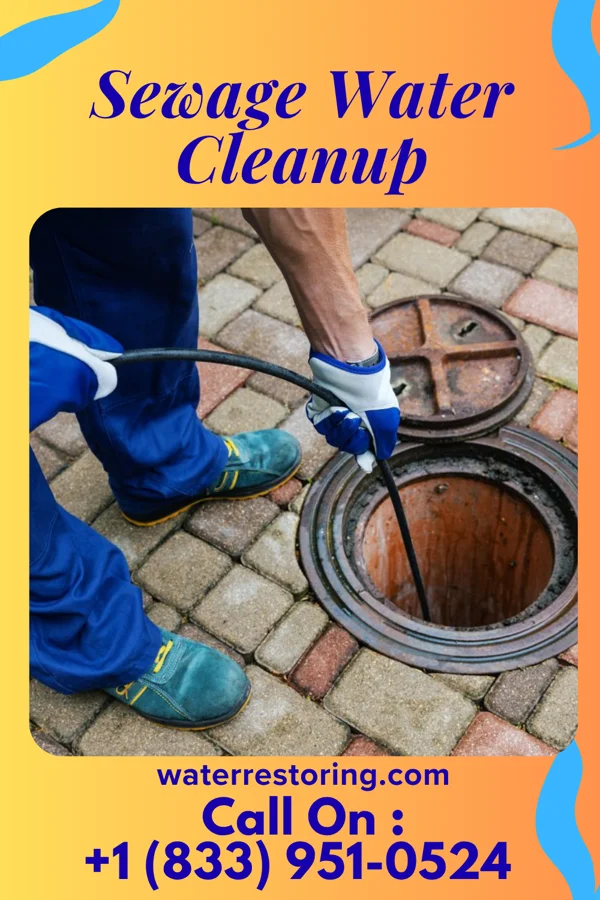 Sewage Water Cleanup in Prices Fork, VA